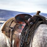 7 Best Western Brno Hotel: Your Cozy Stay