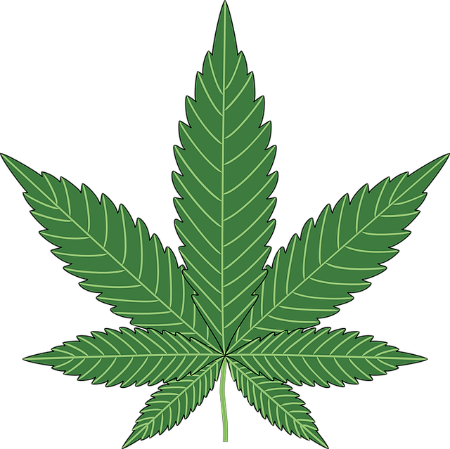 2. Current Marijuana Regulations in Prague: Exploring the Legal Landscape