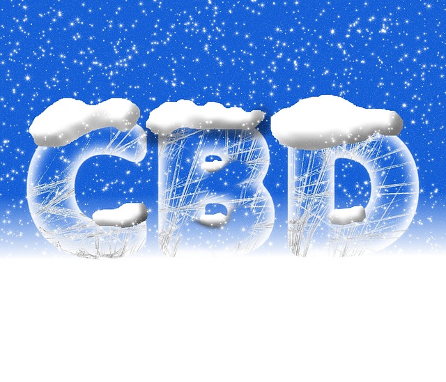 Is Marijuana Legal in Czech Republic? Cannabis Laws 9 9. The Role of Cannabis Activism in Shaping Czech Republic's Marijuana Laws