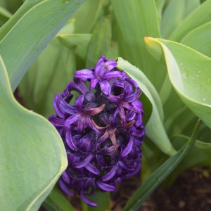 Must-See Things in Prague: Discover the City’s Hidden Gems