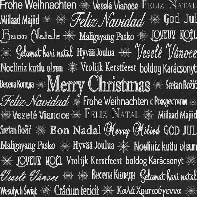 What Is the Primary Language in Prague? Language Facts 9 - Embracing Multilingualism: Other Languages Spoken in Prague