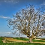 Is Czech Republic a Good Country? Country Evaluation 15 Is Czech Republic a Good Country? Country Evaluation