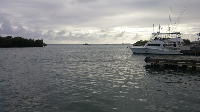 9. Personal Experiences: Expat Stories on Renting in Prague and Budget Considerations