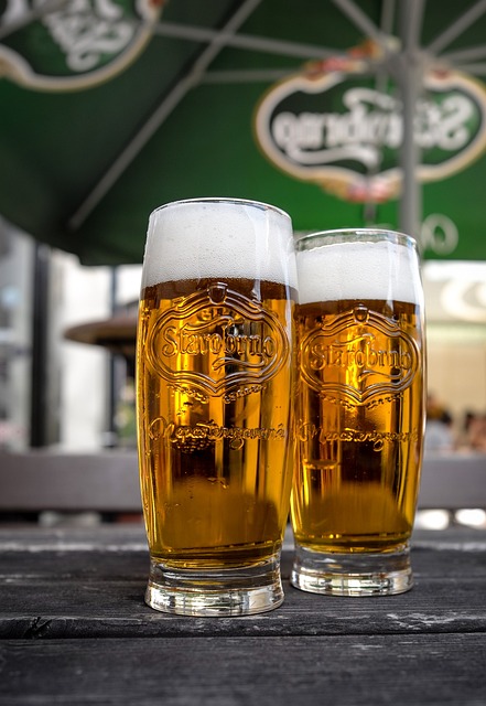7. Sample the World-Famous Czech Beer in České Budějovice: A Haven for Beer Enthusiasts