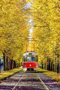 g2f333ab6b562ea83308ce4df5f6e9087c14ca5789b6529b8a428b99675ca78e786e929dcfe8c3d0466dca4897be5d3c9c64c94fb82f971c40df4f91030e53b6a 640 (AI Generated Image)